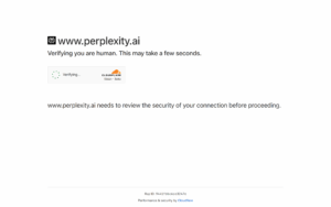 Perplexity Shopping
